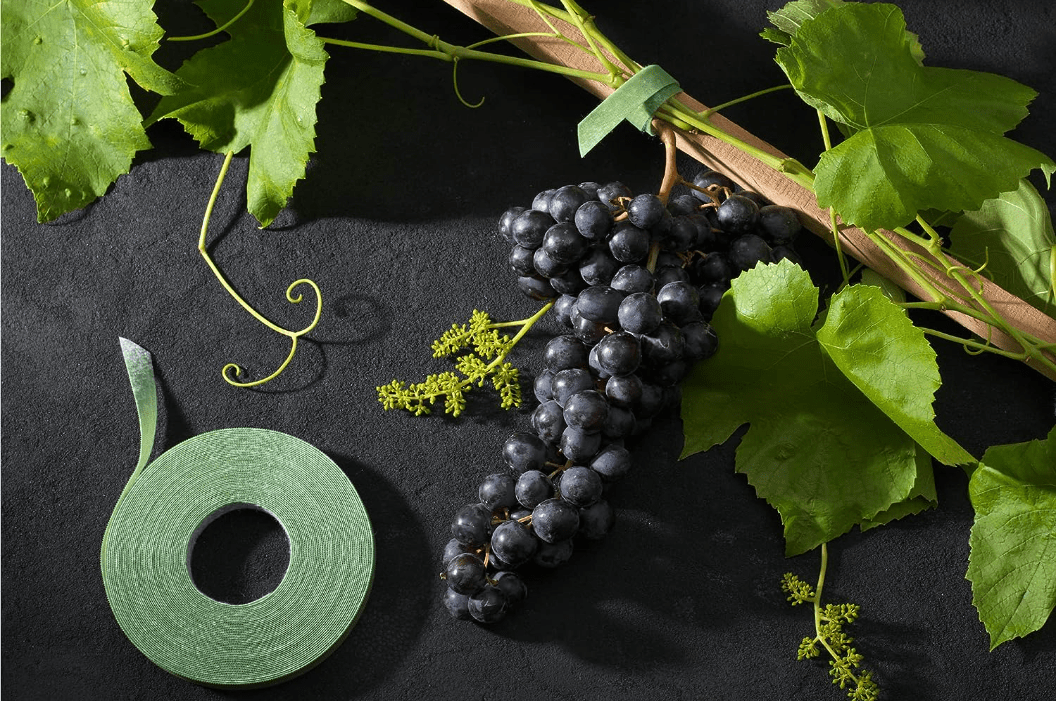 Roll of green Velcro garden ties next to grapevine.