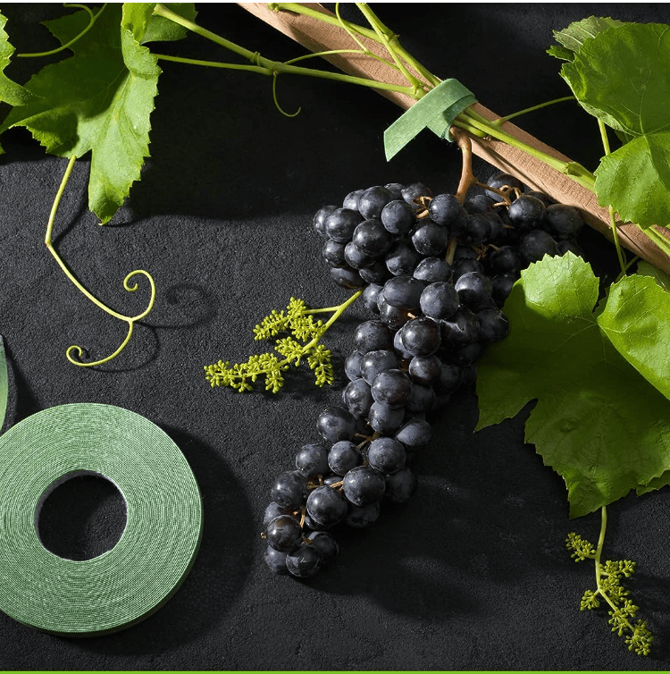 Roll of green Velcro garden ties next to grapevine.