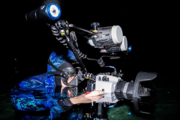 This wildlife filmmaker documents the unseen beauty of freshwater ecosystems