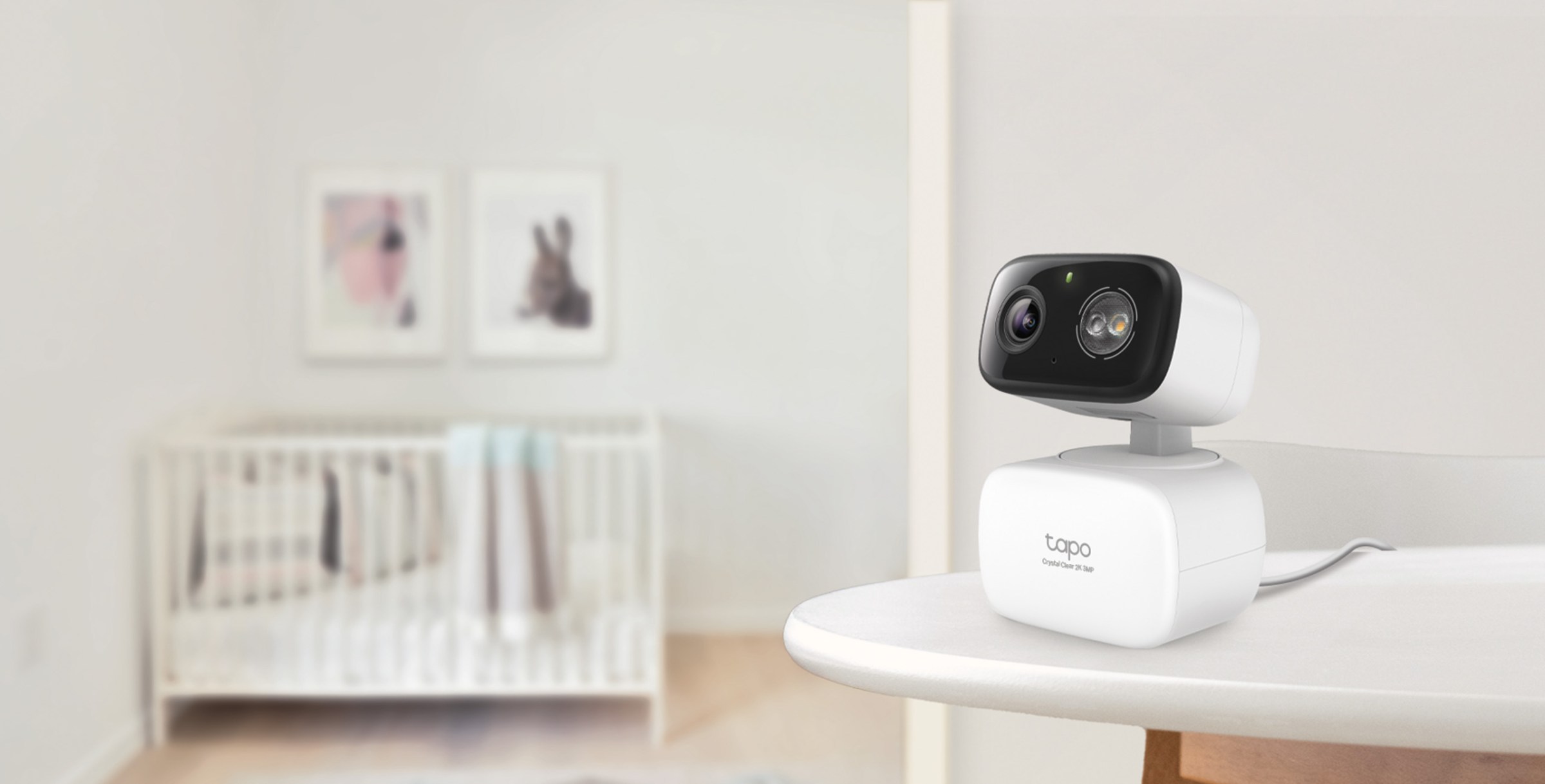 The HybridCam series features wired cameras that can be used indoors or outdoors. They feature sound detection, which make them useful as baby or pet cams.