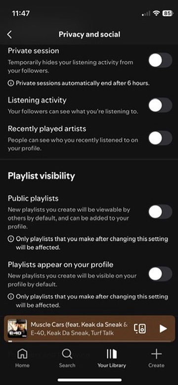 A look at the settings page of my Spotify account; it’s set to maximum privacy.