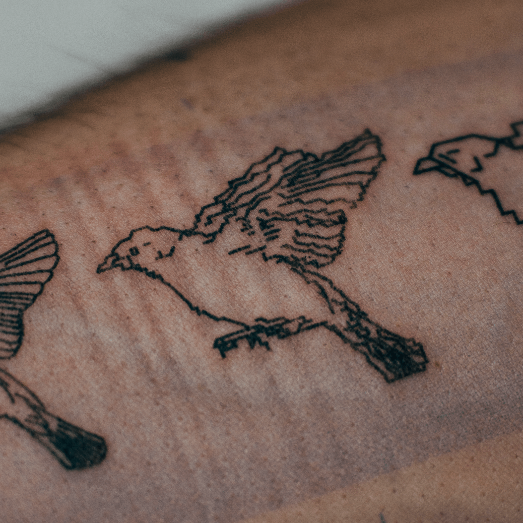 Kevin Rose Generative Bird tattoo