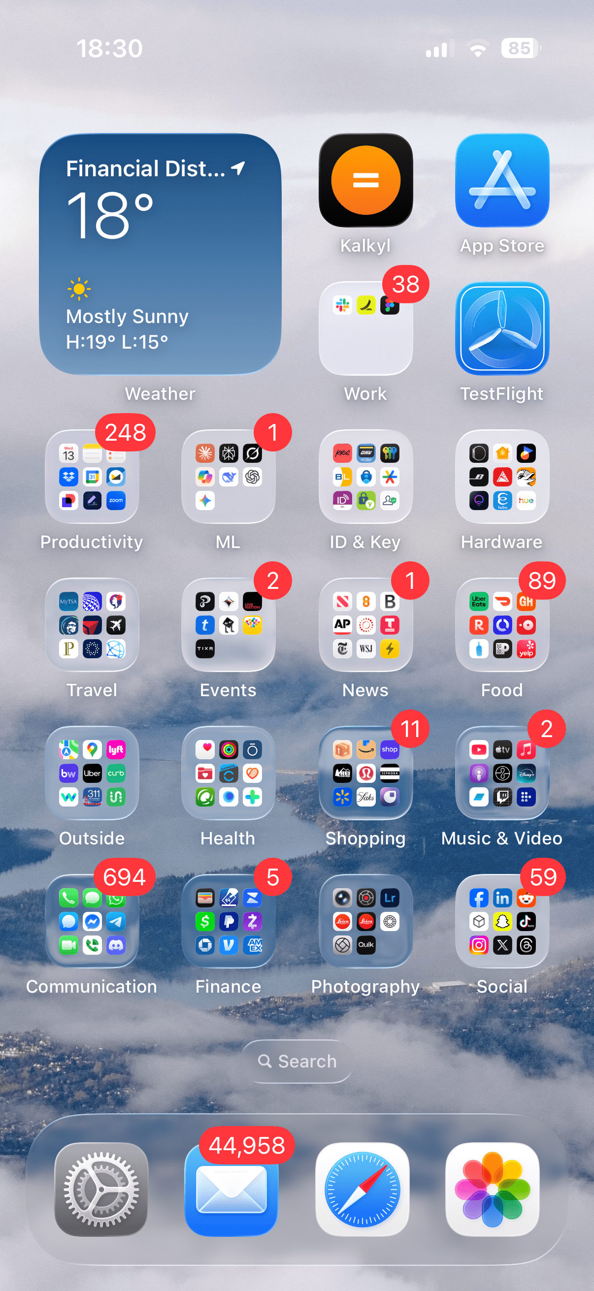 A screenshot of Jane Manchun Wong’s homescreen.